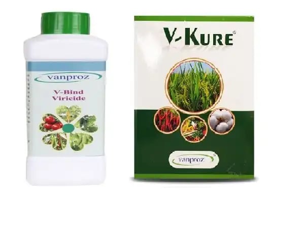Vanproz Combo Offer (V Bind 250 Ml + V Kure 250 Gm) For Controlling Papaya and Chilli Viral, Bacterial & Fungal Disease