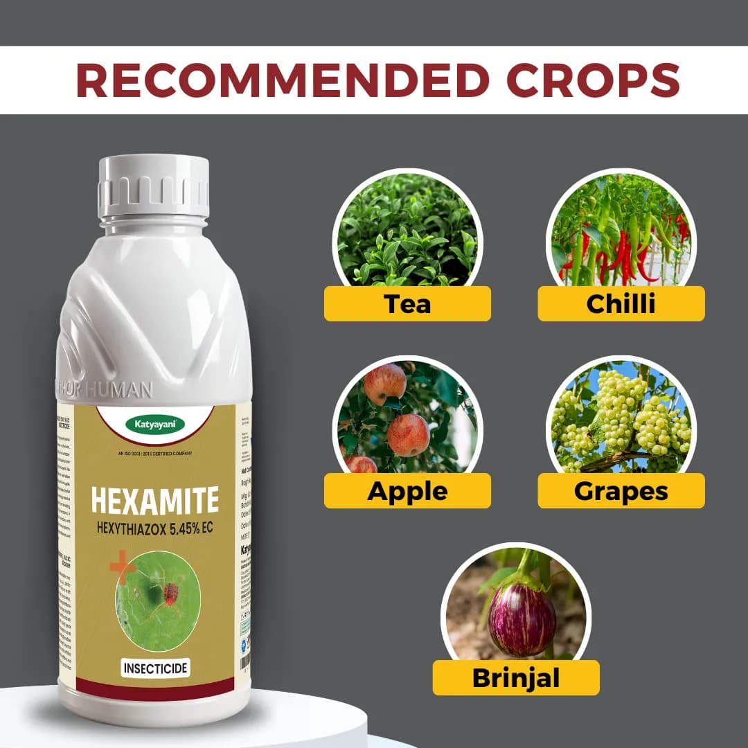 Katyayani Hexamite Hexythiazox 5.45% EC Insecticide for Mite Control - Image 4