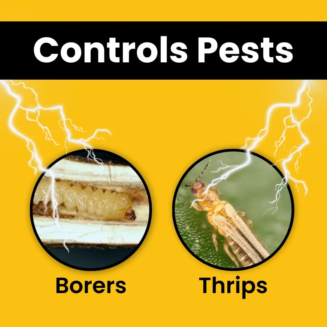 Katyayani OUTBURST Broflanilide 300 GL SC Insecticide, Effective Control Pests In Multiple Crops - Image 3