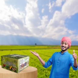 Pioneer VEGETABLE GARDENING KIT, Kitchen Garden Kit Perfect choice for Beginners with All Accessories 5