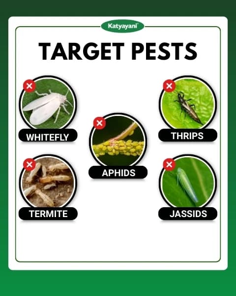 Katyayani Thioxam Super Plus Thiamethoxam 70% WS Insecticide, Powerful Pest Control For Crops - Image 3