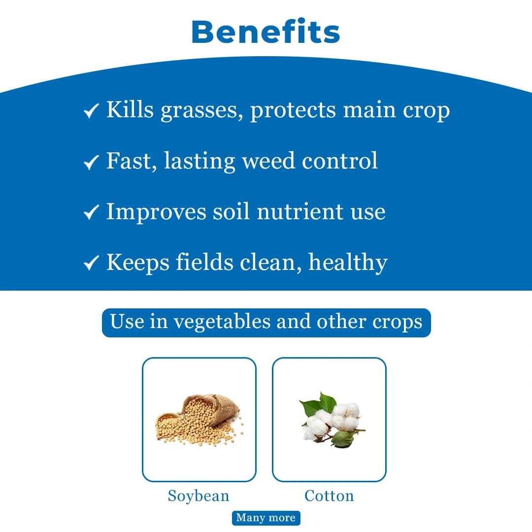 Quizaflo Quizalofop Ethyl 10% EC, Post Emergence Selective, Systemic Herbicide - Image 4