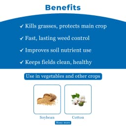 Quizaflo Quizalofop Ethyl 10% EC, Post Emergence Selective, Systemic Herbicide 4