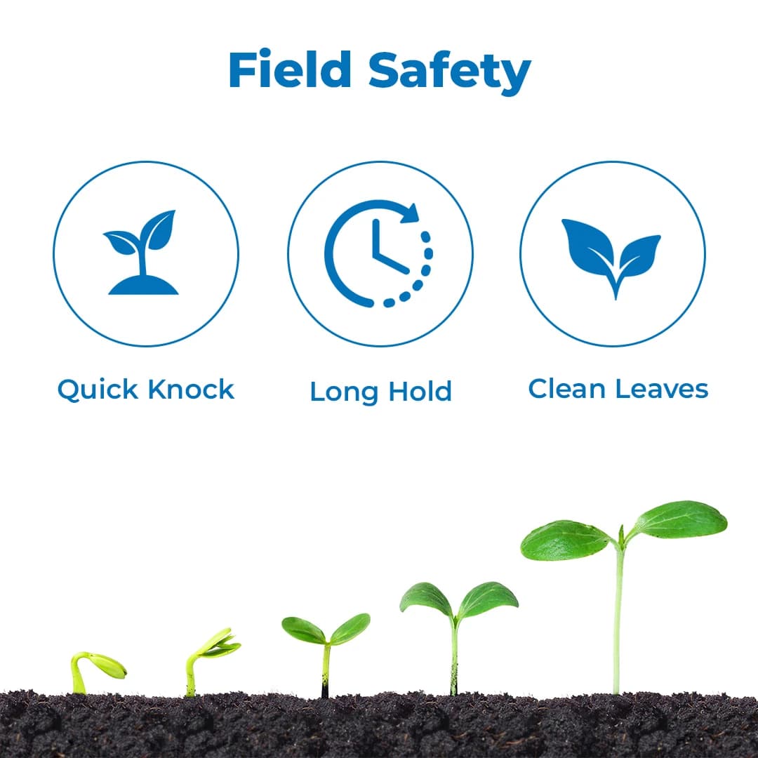 डॉ. बैक्टो के 5जी फ्लूरो बायो कैप्सूल, स्यूडोमोनास फ्लूरोसेंस विभिन्न फंगल और जीवाणु रोगों के विरुद्ध प्रभावी। - Image 3