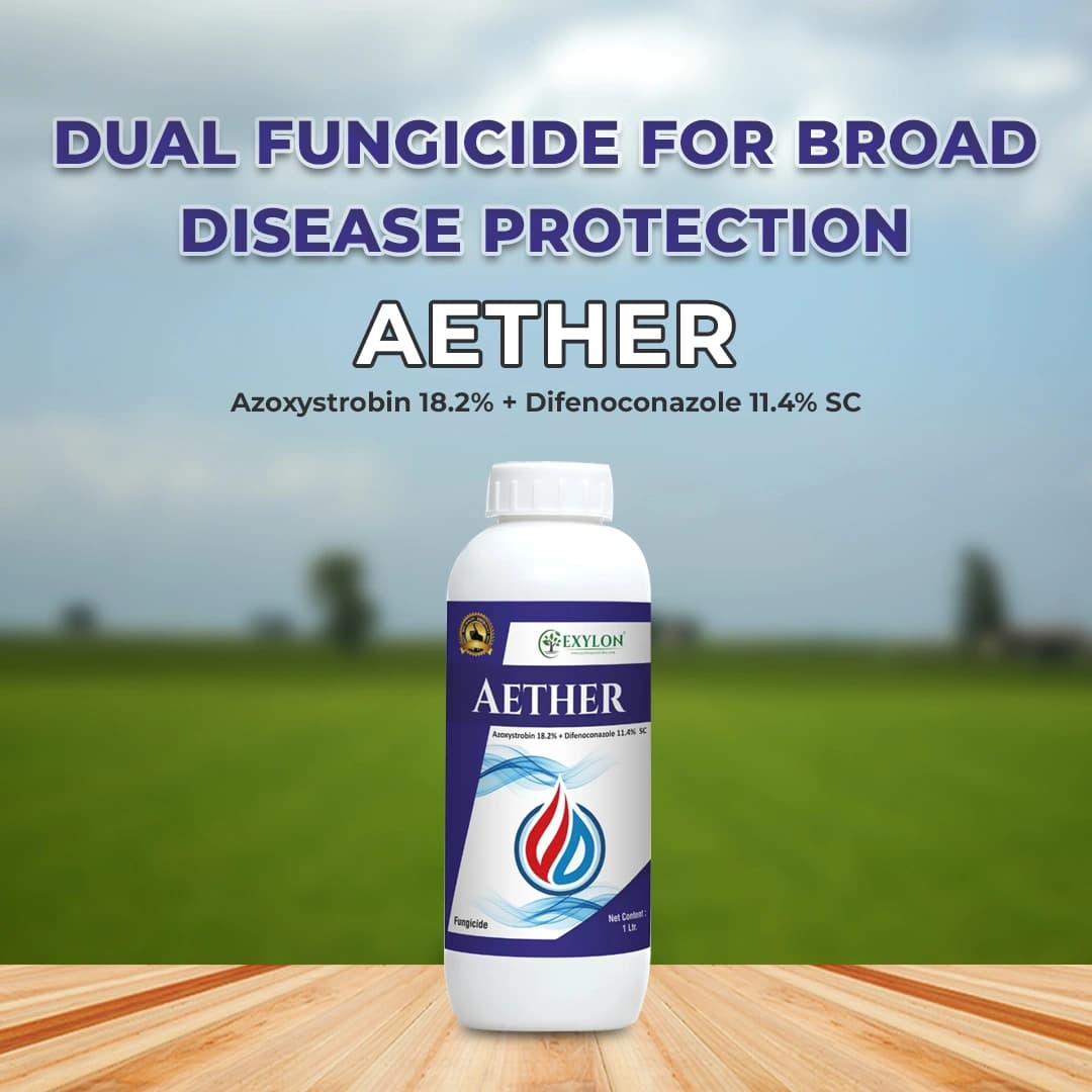 Exylon Aether Fungicide - Azoxystrobin 18.2% + Difenoconazole 11.4% SC - Image 2