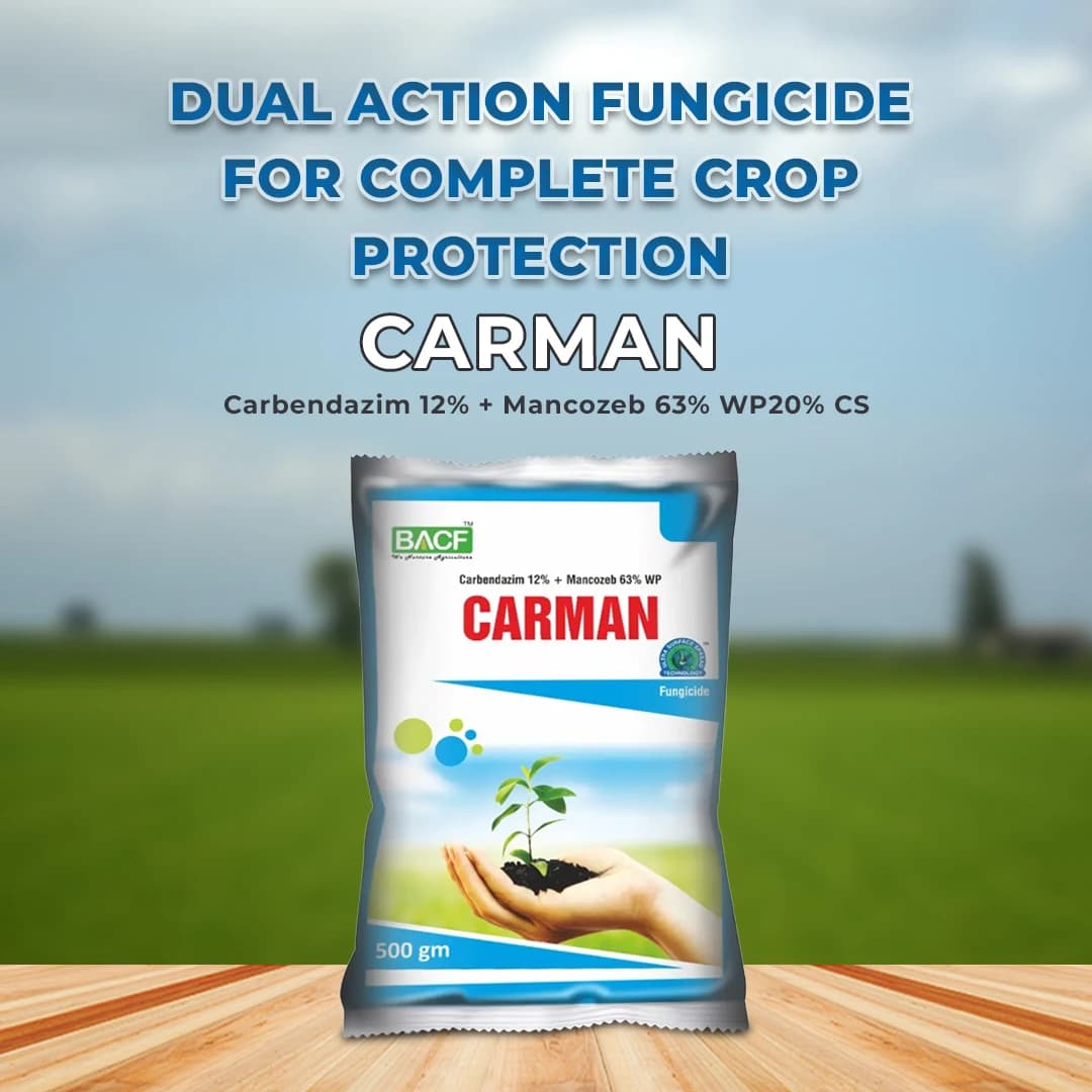 Carman Fungicide - Carbendazim 12% + Mancozeb 63% WP - Image 2