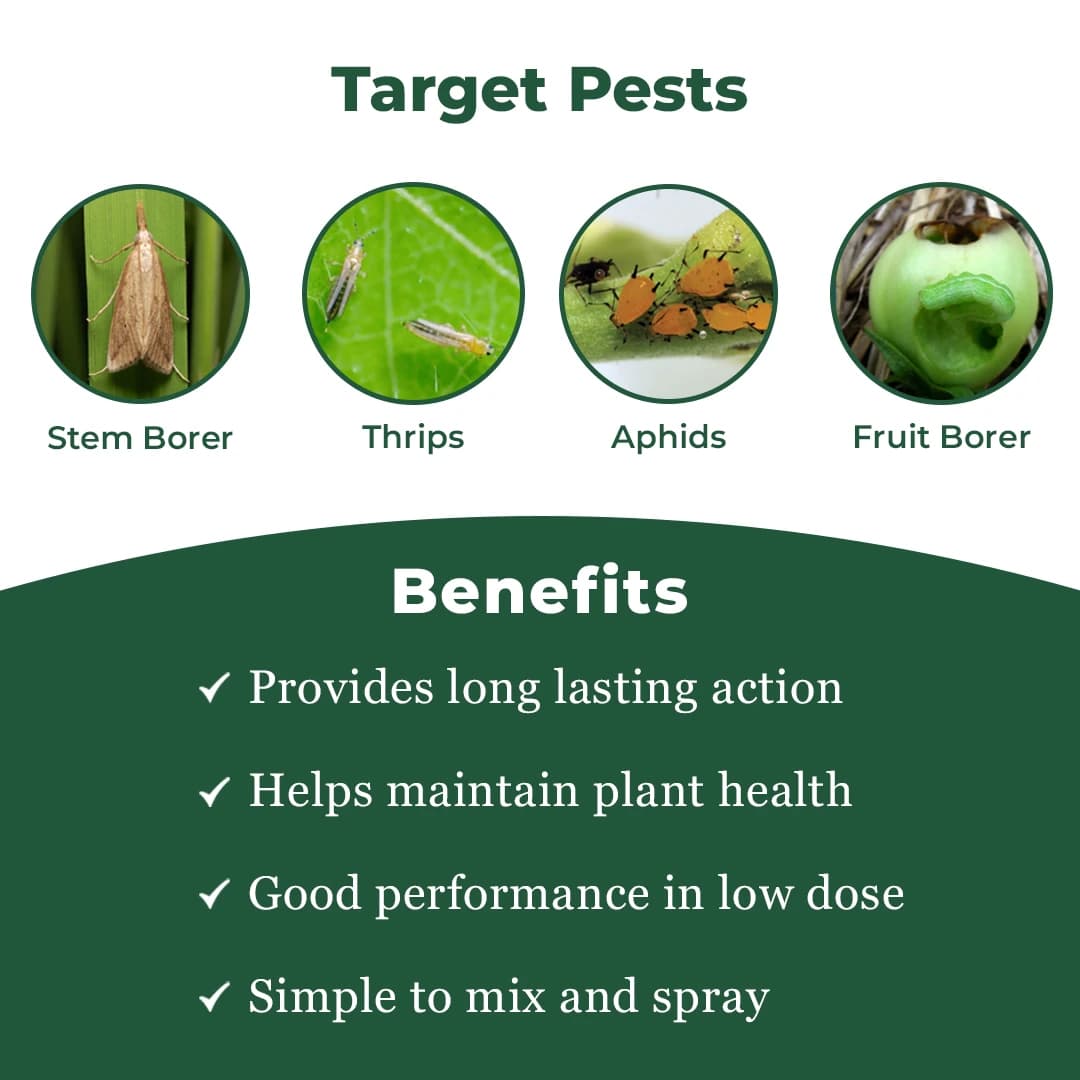 Agriventure FIPRO SILVER Fipronil 5% SC Insecticide, Excellent Thripicide And Also Shows Plant Growth Enhancement - Image 3