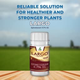 Dhanuka LARGO Spinetoram 11.7% SC Insecticide, Effective For Thrips And Caterpillar Control In Crops 2