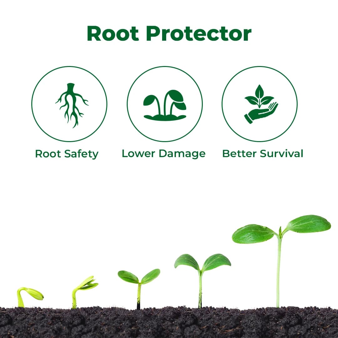 Exylon Cyclone 50 Chlorpyriphos 50% EC Insecticide, Broad-Spectrum, Effective Sucking And Chewing Pests For Crops - Image 3