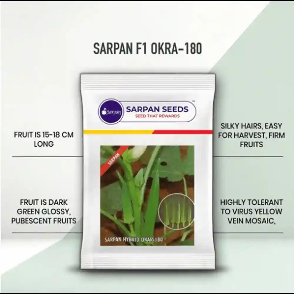 Sarpan F1 Hybrid Okra 180, Bhindi Seeds, Suitable For Kharif, Rabi And Early Summer