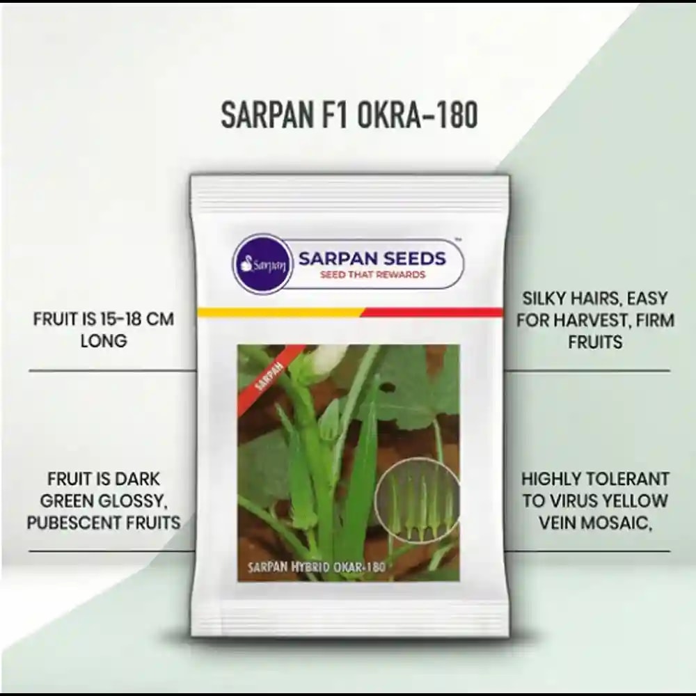 Sarpan F1 Hybrid Okra 180, Bhindi Seeds, Suitable For Kharif, Rabi And Early Summer
