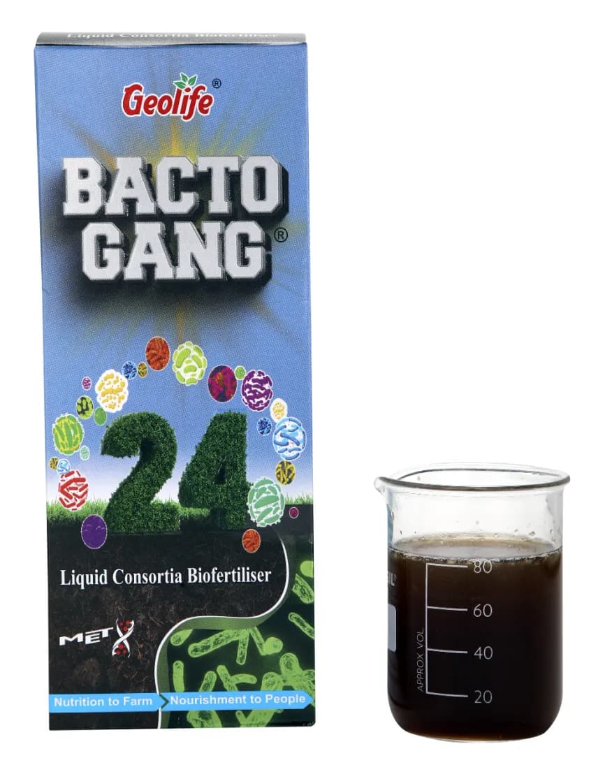 Geolife Bactogang 24 Advance Microbial Bio Fertilizer, Boost Soil Fertility - Image 4