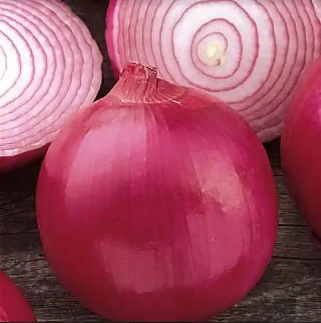 Jivit F1 Hybrid Onion Maanik Seeds, Deep Red Round Bulbs, High Yielding Variety - Image 3