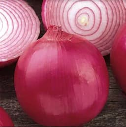 Jivit F1 Hybrid Onion Maanik Seeds, Deep Red Round Bulbs, High Yielding Variety 3