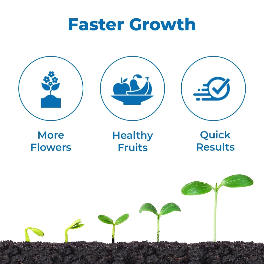 Willowood WILGIB Plant Growth Regulator Gibberellic Acid 90% Used For All Crops. - Image 3