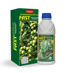 Katyayani Garlic Bulb Special Growth Combo, Enhance Growth (Fast 100ml, Mix Micronutrient 100gm) 4