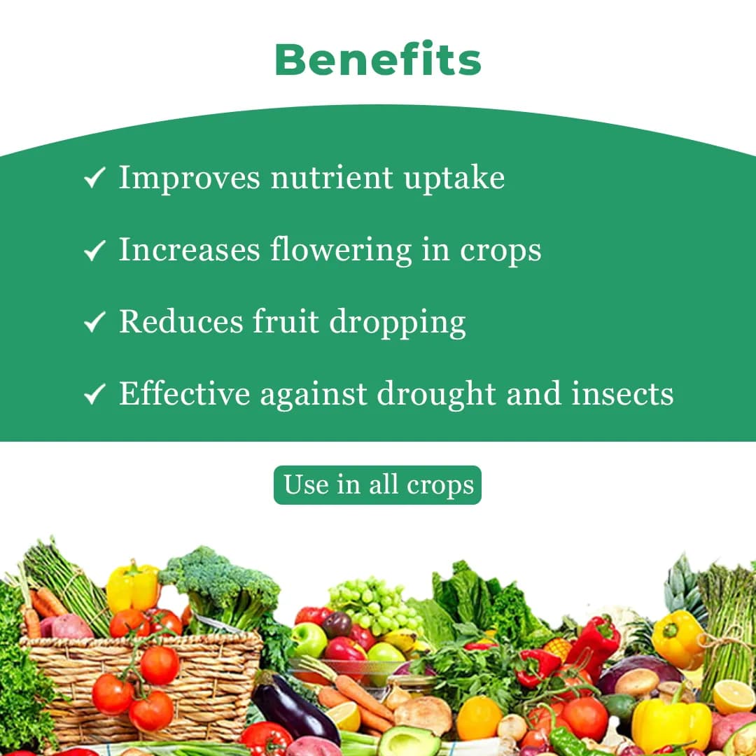 Agrigib - Gibberellic Acid 0.001% L - Image 4