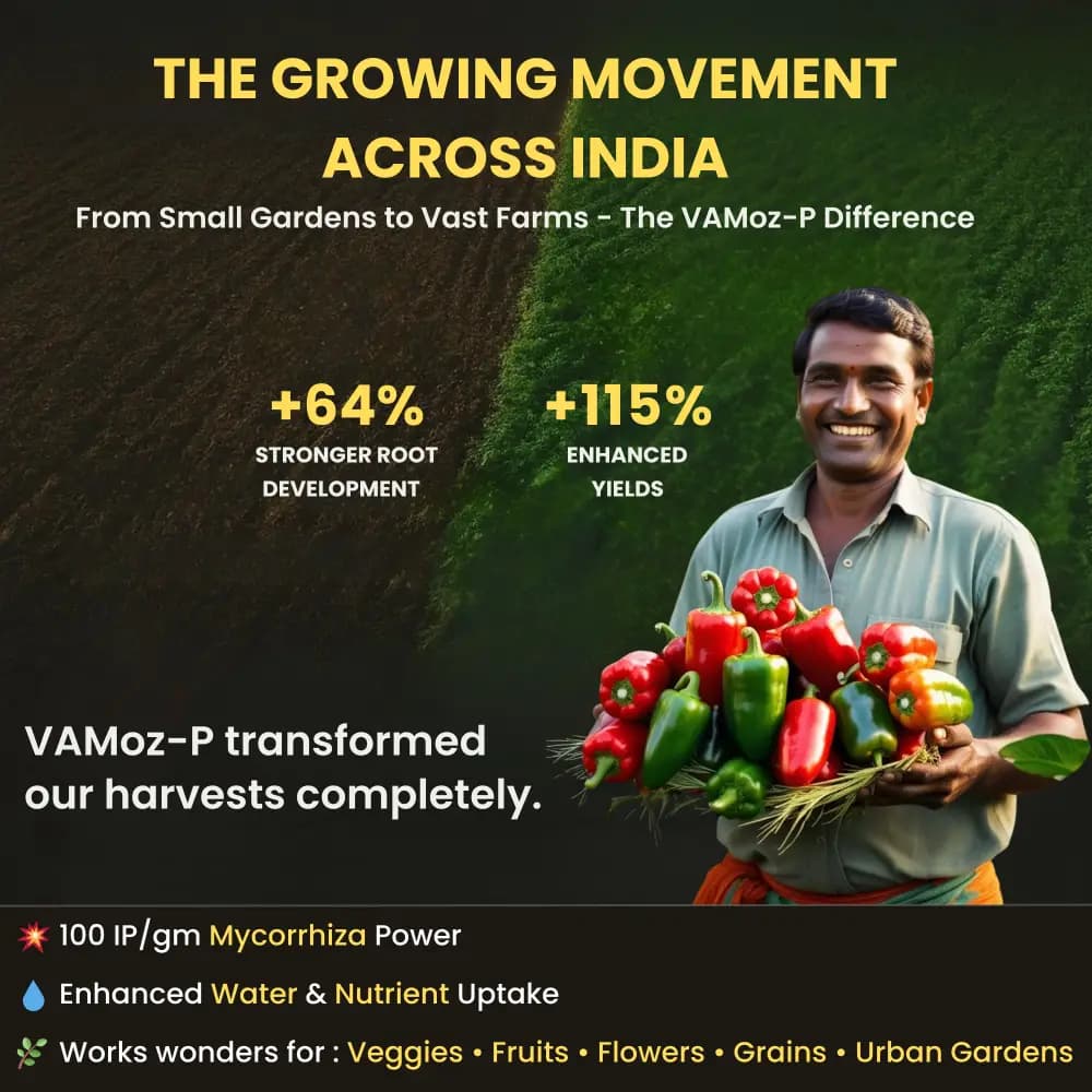 Utkarsh VAMoz-P (Mycorrhiza with 100 IP Per Gm) Vesicular Arbuscular Mycorrhizal, Bio Fertilizer - Image 5