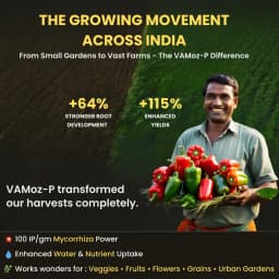 Utkarsh VAMoz-P (Mycorrhiza with 100 IP Per Gm) Vesicular Arbuscular Mycorrhizal, Bio Fertilizer 5