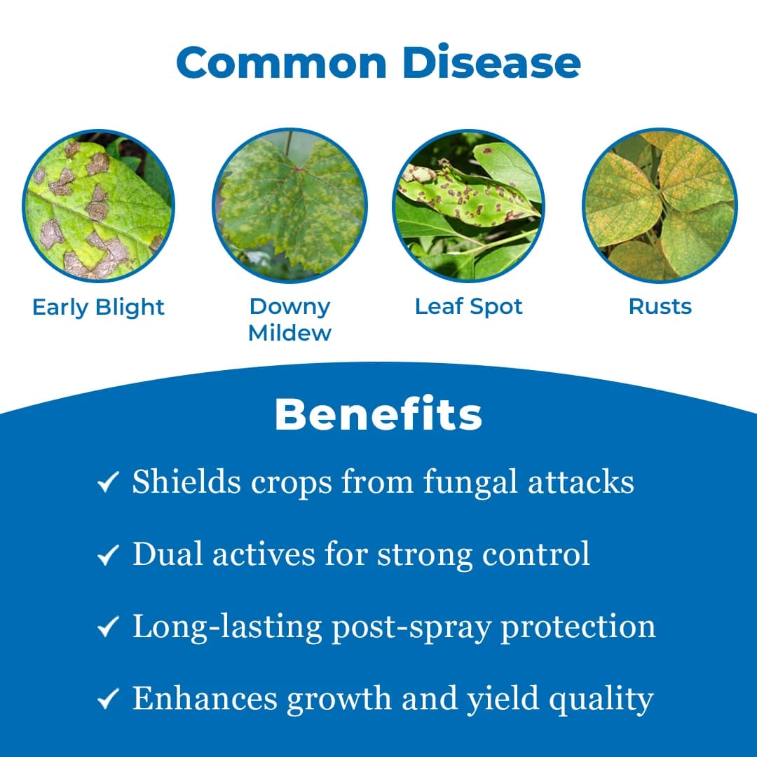 Dhanuka Godiwa Super Fungicide - Image 3