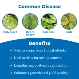 Dhanuka Godiwa Super Azoxystrobin 18.2% + Difenoconazole 11.4% SC Fungicide, Systemic Broad-Spectrum 3