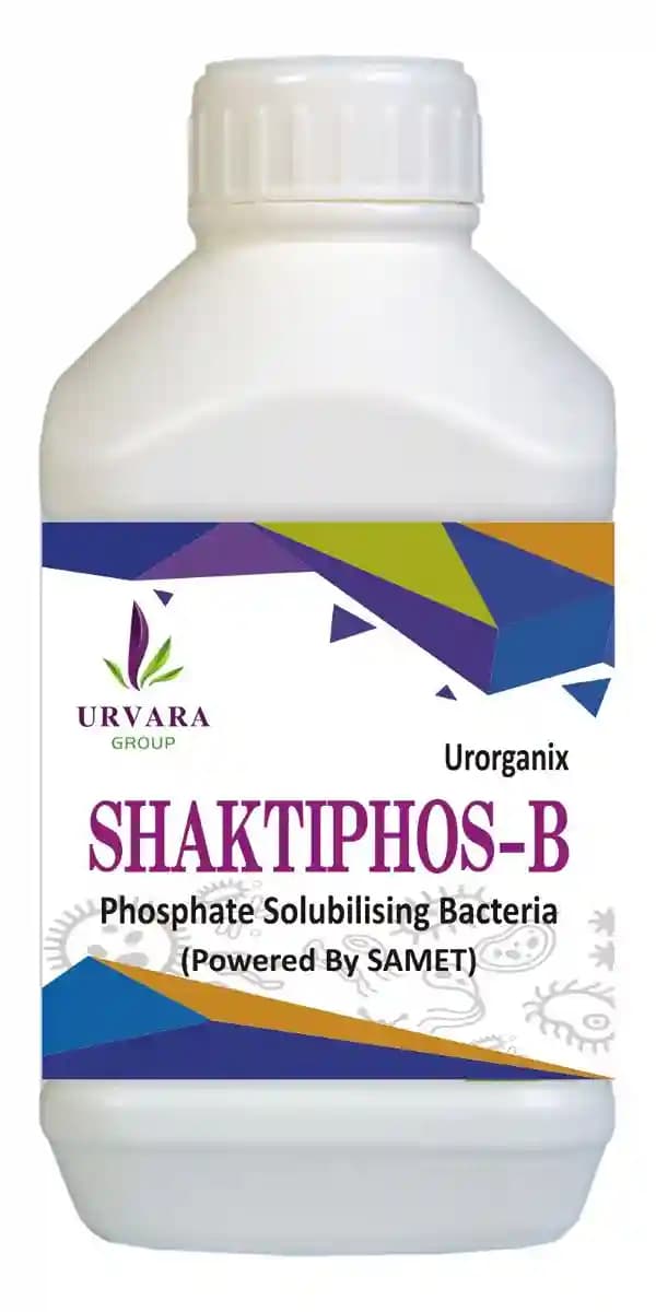 Shaktiphos B - Phosphate Solubilizing Bacteria for phosphate solubilization and making available phosphorus in soil