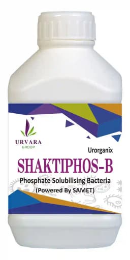 Shaktiphos B - Phosphate Solubilizing Bacteria for phosphate solubilization and making available phosphorus in soil 1