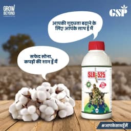 GSP SLR 525 Pyriproxifen 5% + Difenthuron 25% Insecticide, Effective Sucking Pest Control Solution 5