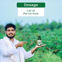 टी. स्टेंस ग्रीन मिरेकल एंटी ट्रांसपिरेंट कम स्ट्रेस एलीविएटर, पौधों को थर्मिक स्ट्रेस से बचाता है 5