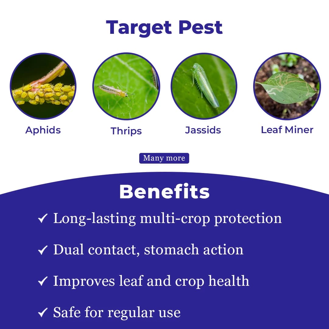 Dhanuka Media Insecticide - Image 3