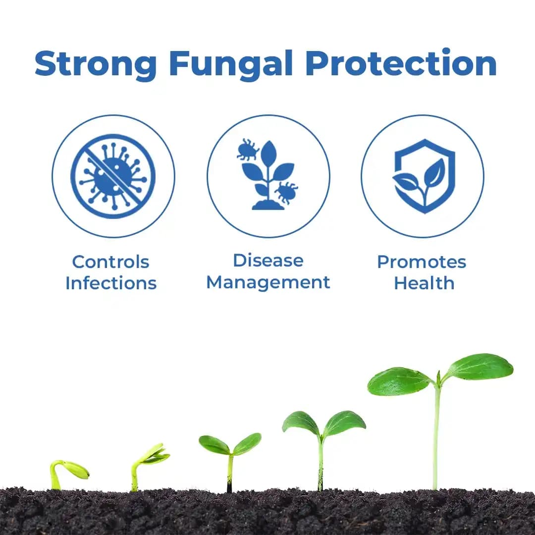 Indofil Z-78 Zineb 75% WP, An Unique Broad Spectrum Fungicides with Zinc Nutrition. - Image 3