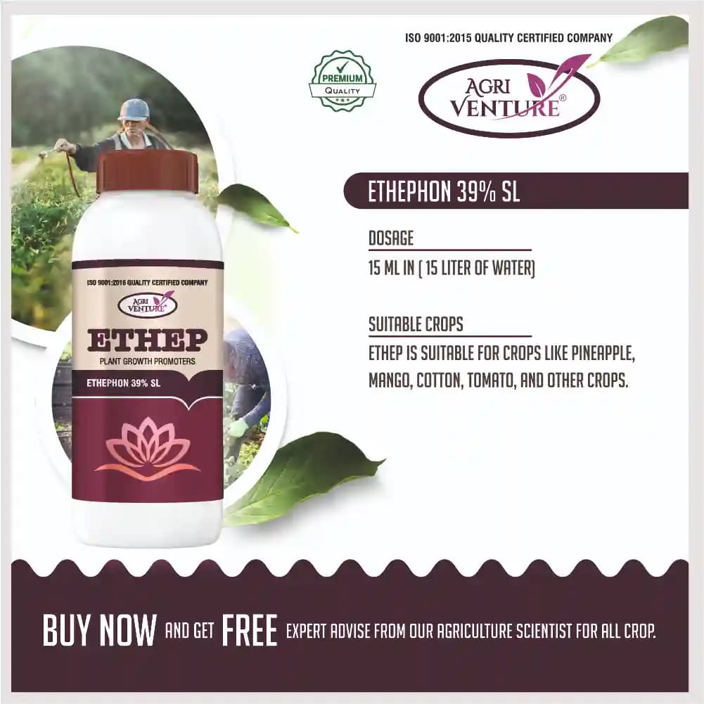 Agriventure ETHEP Ethephon 39% SL Plant Growth Promoters, Effective For Fruit And Vegetable Crops - Image 4