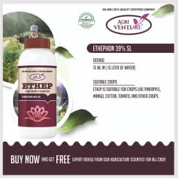 Agriventure ETHEP Ethephon 39% SL Plant Growth Promoters, Effective For Fruit And Vegetable Crops 4