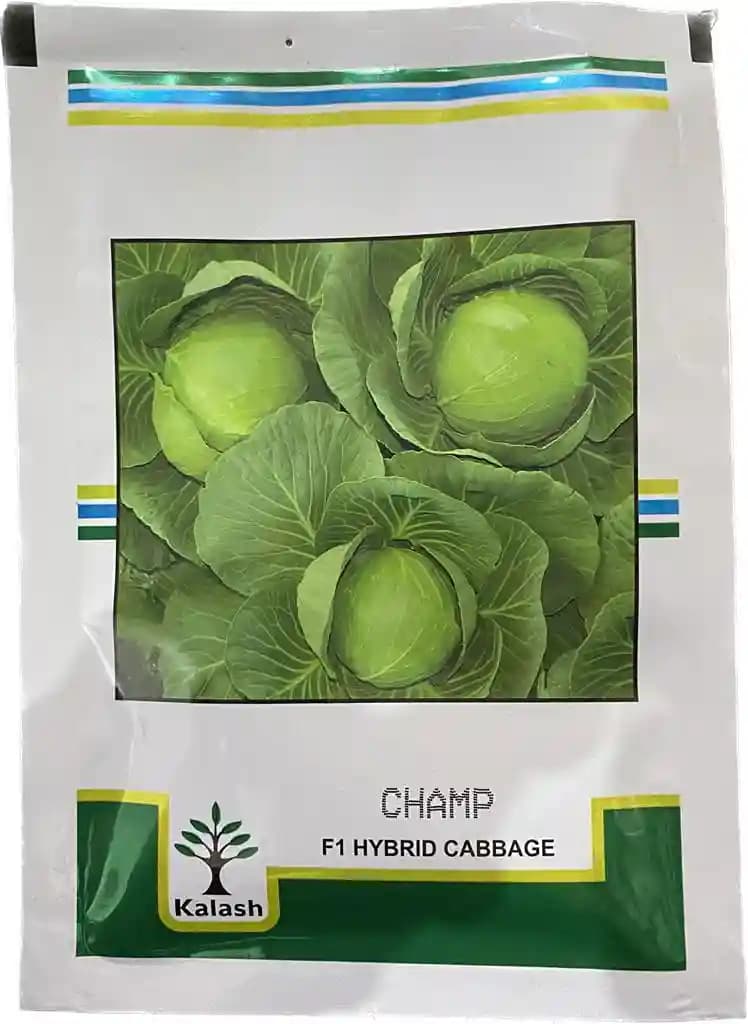 Kalash Champ Cabbage Hybrid Seeds, Specially Recommended For Sowing In Summer And Rainy Season - Image 2