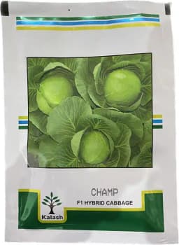 Kalash Champ Cabbage Hybrid Seeds, Specially Recommended For Sowing In Summer And Rainy Season 2
