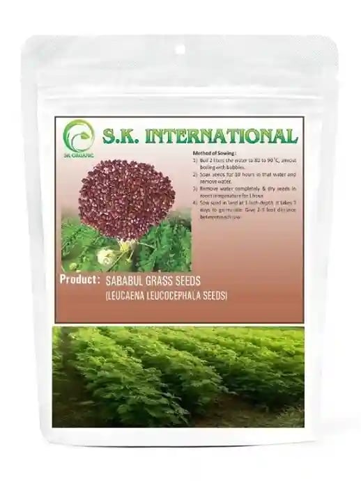 S.K. International Sababul Grass Seeds - Fodder Grass