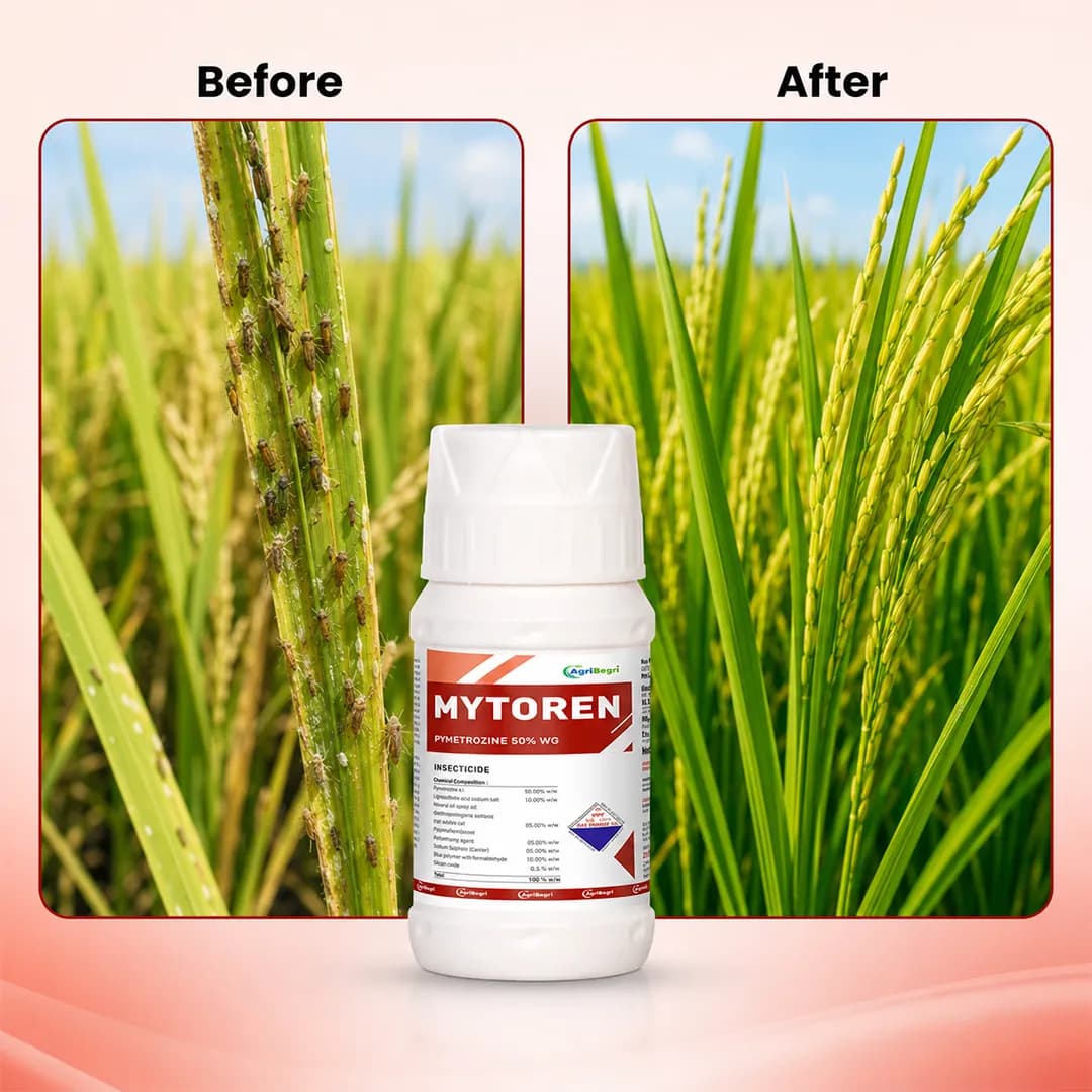 Mytoren Insecticide - Pymetrozine 50% WG - Image 6