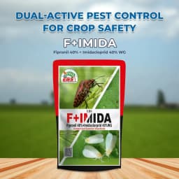 EBS F+Imida Insecticides - Fipronil 40% + Imidacloprid 40% WG 2