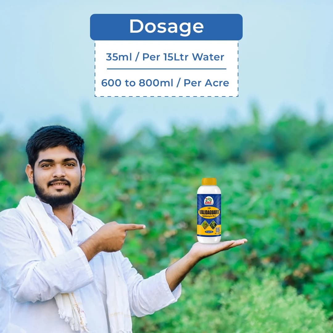 EBS Validaguard Validamycin 3% L Fungicide, Effective Against Soil Borne Diseases - Image 5