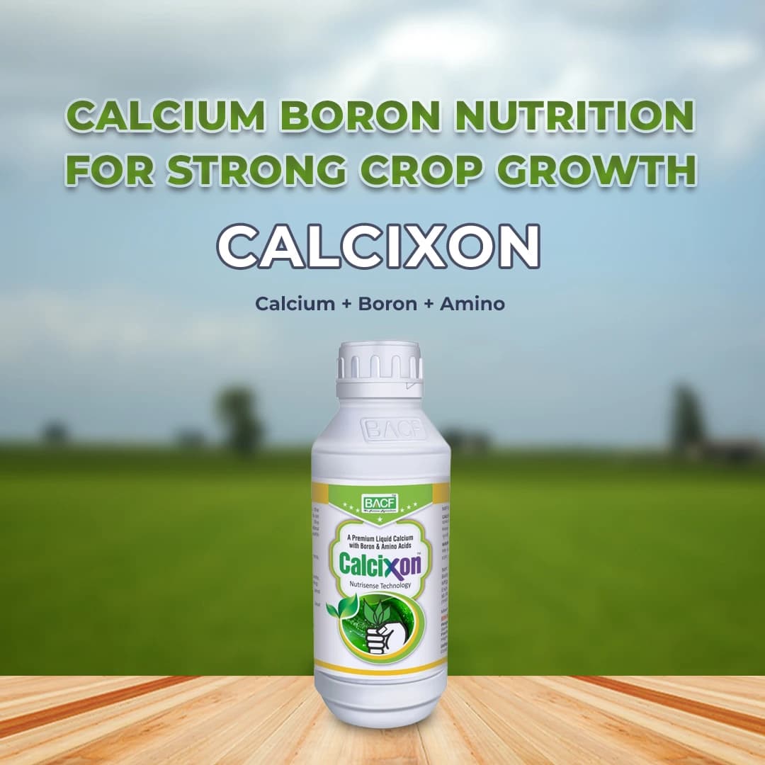 Nutrixon Cal-SL Fertilizer - Calcium + Boron + Amino acid - Image 2