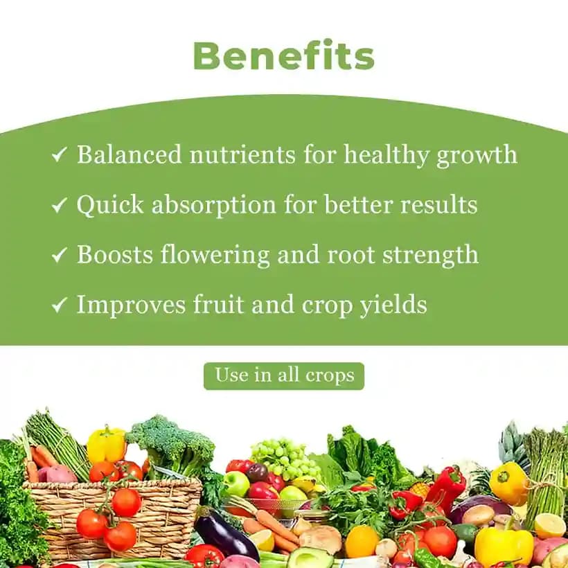 Farmtone NPK 19:19:19 100% Water Soluble Fertilizer, Result Oriented, High Effectiveness - Image 4