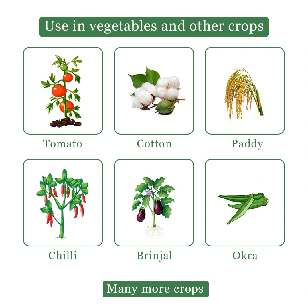 Katyayani K-Acepro Insecticide - Image 4