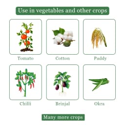 Katyayani K-Acepro Insecticide - Acetamiprid 20% SP 4