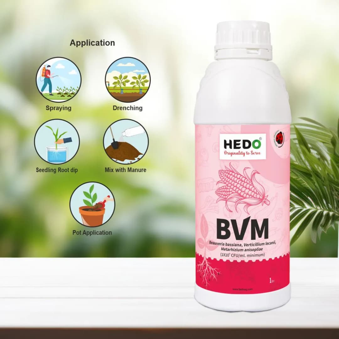 HEDO BVM (Beauveria bassiana + Verticillum Lecanii + Metarhizium Anisopliae) Liquid Bio Pesticide, Targets Many Pests, Including Aphids, Thrips, Etc - Image 4