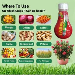 सुमितोमो तबोली पौधों की वृद्धि संवर्धक, पेड़ की वृद्धि को नियंत्रित करता है, और छंटाई लागत को घटाता है 6