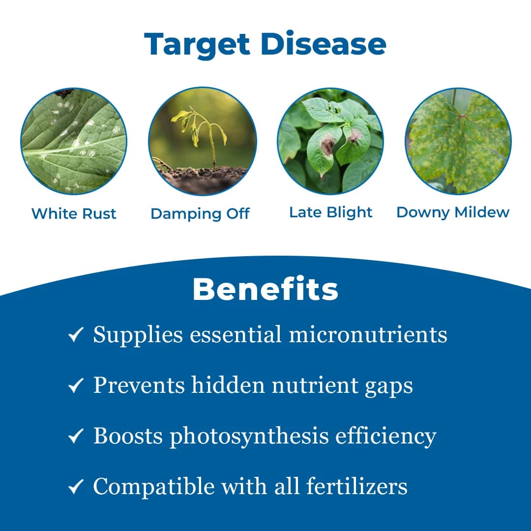 Tata Rallis Master - Mancozeb 64% WP + Metalaxyl 8%, Fungicide Effective Against Downy Mildew - Image 3
