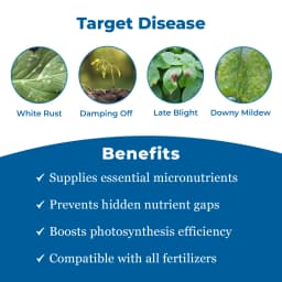 Tata Rallis Master - Mancozeb 64% WP + Metalaxyl 8%, Fungicide Effective Against Downy Mildew 3
