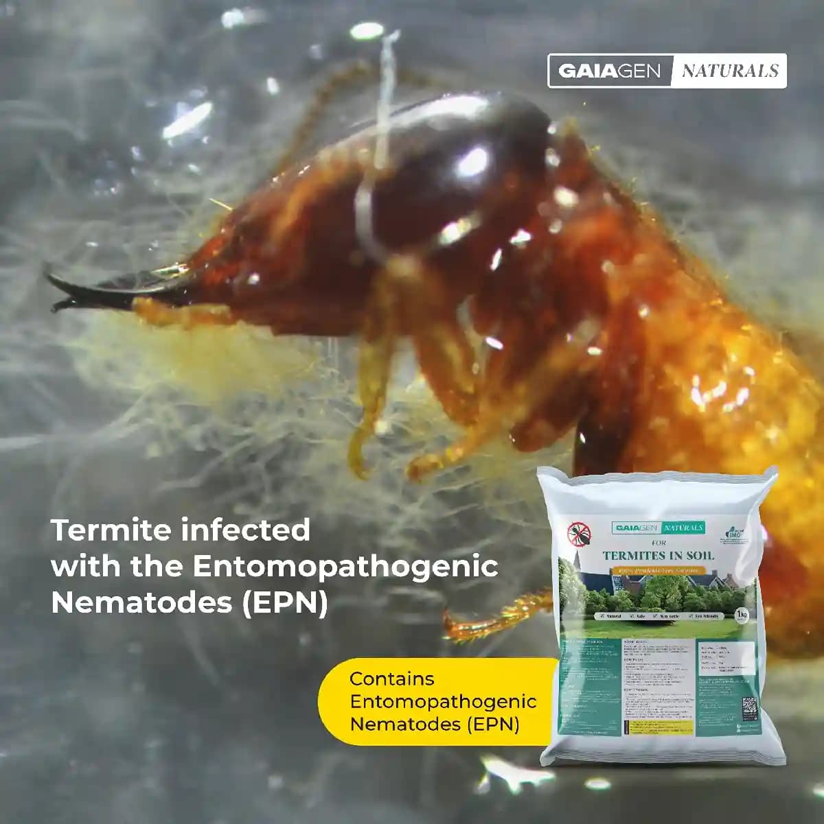 Gaiagen Termite Control, Effective Termite Control for Crops & Gardens, Fast-acting Formulation for Plants - Image 5