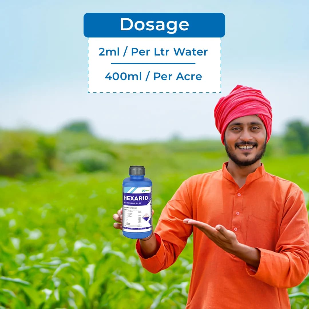 हेक्सारियो - हेक्साकोनाज़ोल 5% एससी, पाउडरी मिल्ड्यू और शीथ ब्लाइट से सुरक्षा प्रदान करता है. - Image 5