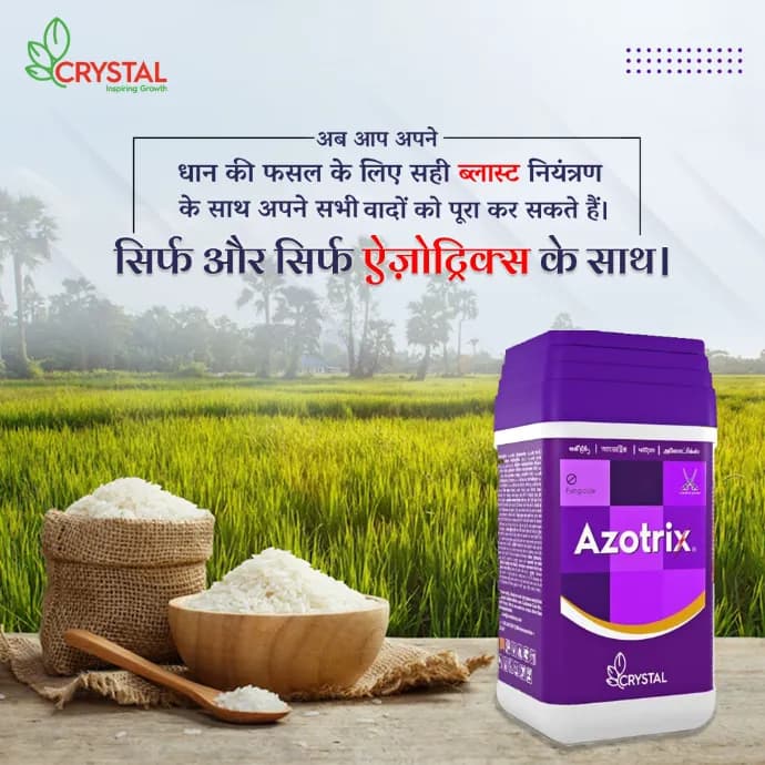 Crystal Azotrix (Azoxystrobin 16.7 % + Tricyclazole 33.3 % SC) Fungicide, Promotes Robust Plant Growth And Resilience. - Image 2